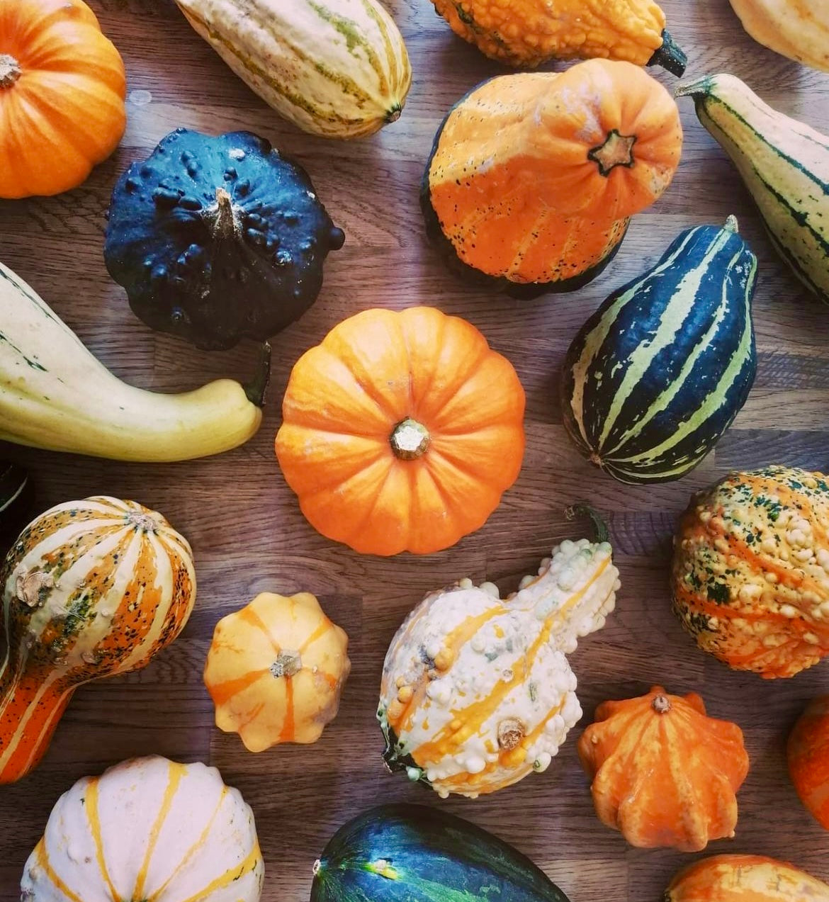 Autumn Abundance Door Wreath WORKSHOP