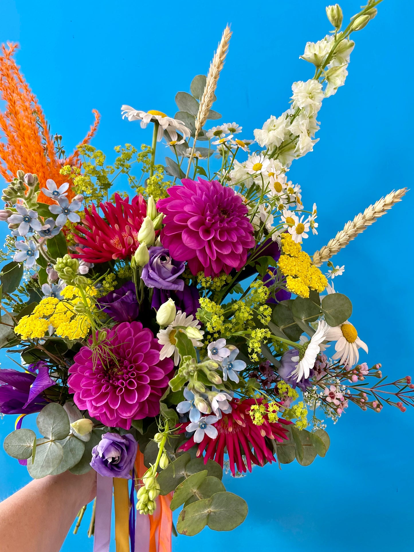 Bold and Bright
