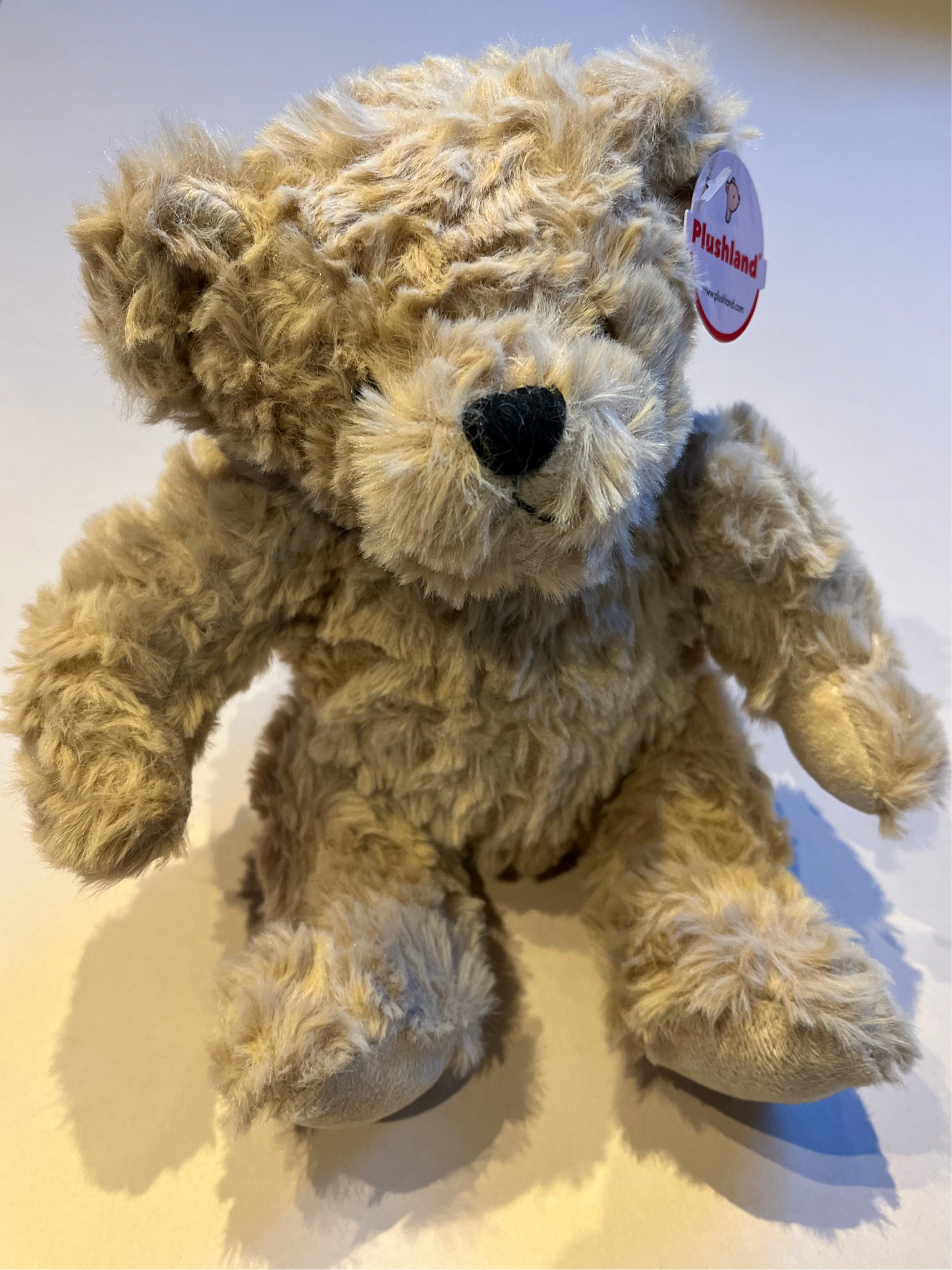 Teddy Bear  - ADD ON ITEM