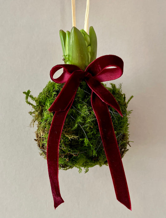 The Flower Corners living Christmas Bauble x3